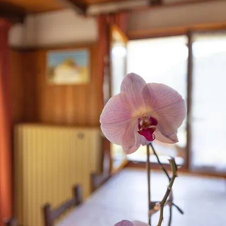 Apartment La Rose Des Vents N 2
